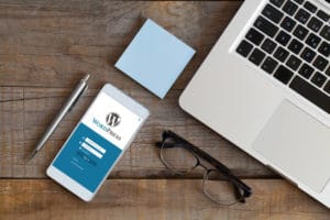 Vulnerabilidades en WordPress