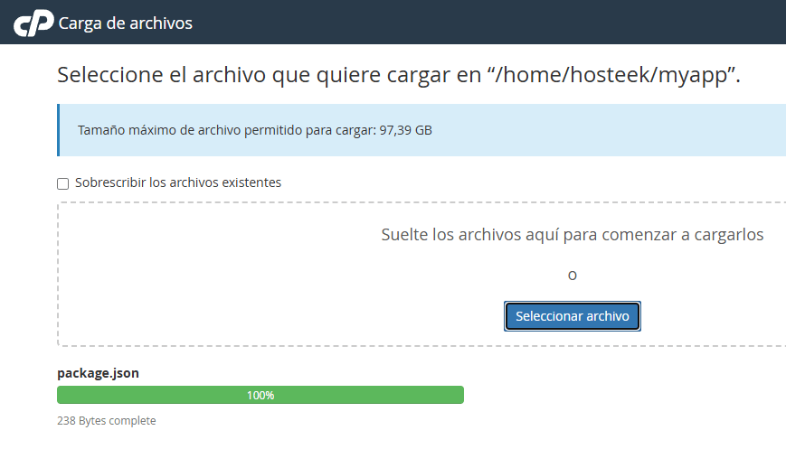 Subir package.json
